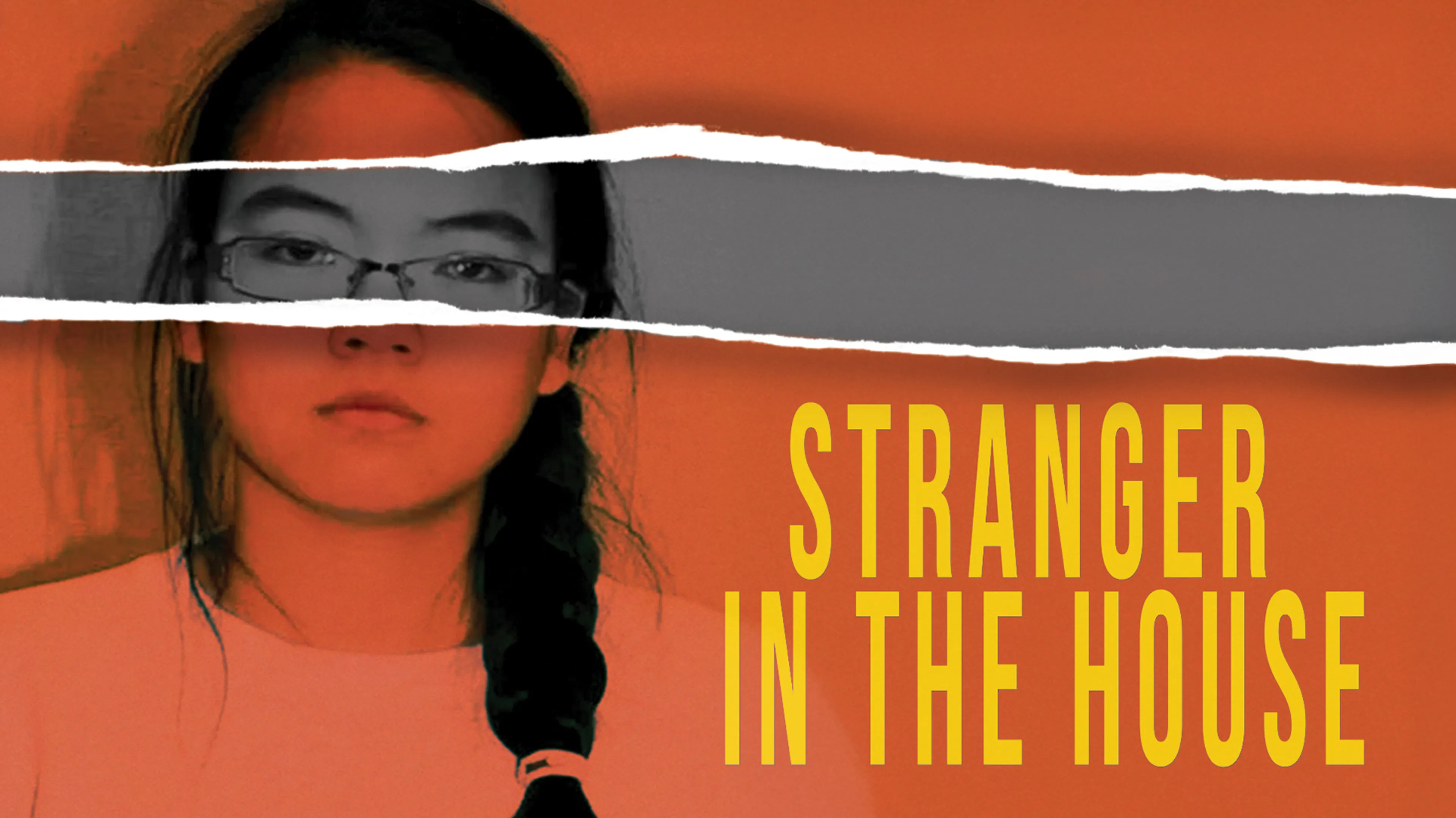Stranger in the House poster